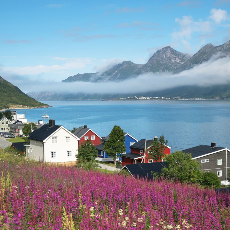 Senja Island